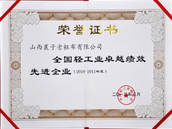 全國(guó)輕工業(yè)卓越績(jī)效先進(jìn)企業(yè)